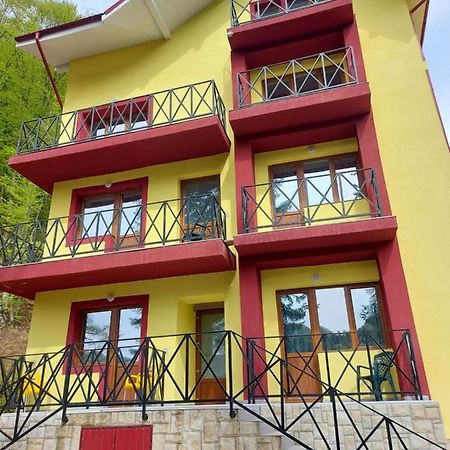 Hotel Vila Ioana Slănic-Moldova Exterior foto