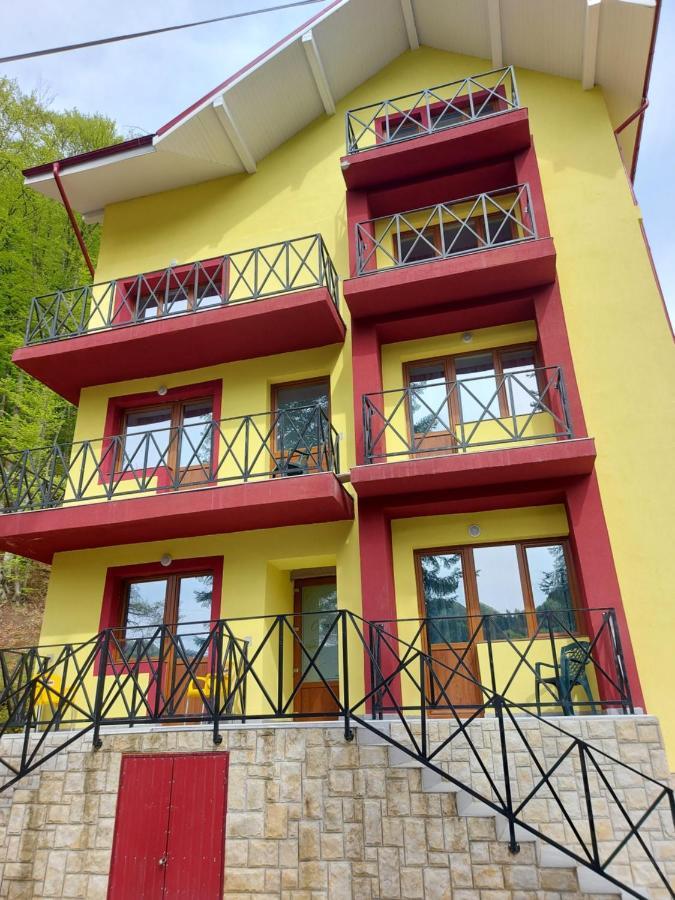 Hotel Vila Ioana Slănic-Moldova Exterior foto